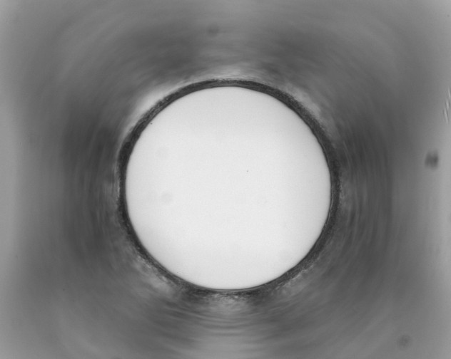 X0000089831270200707262016