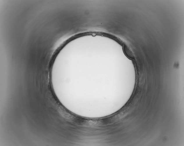 X0000089831271200707262016