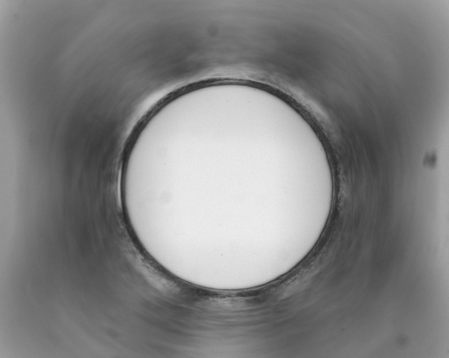 X0000089831272200707262016