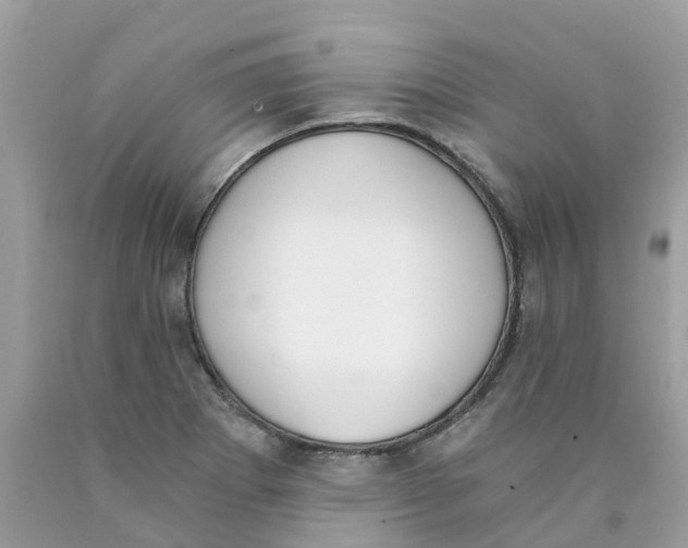 X0000089831273200707262016