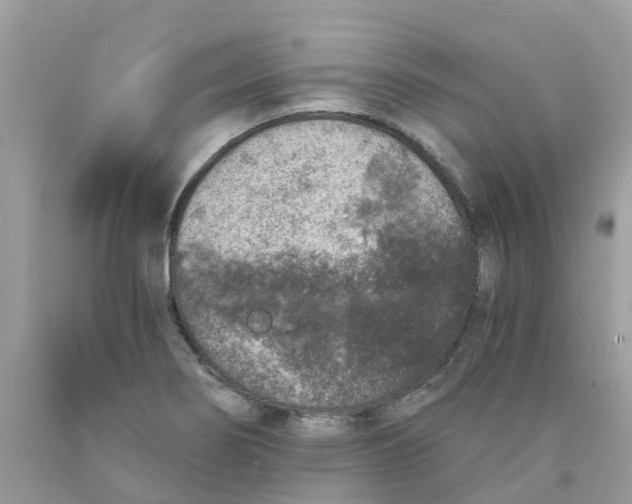 X0000089831274200707262016