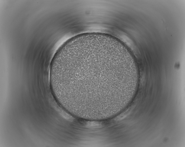 X0000089831275200707262016