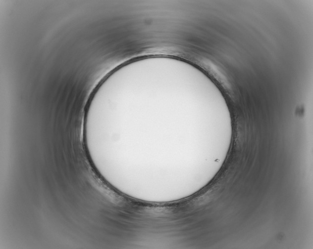X0000089831276200707262016