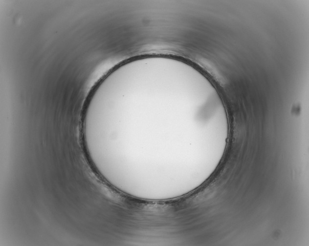 X0000089831277200707262016