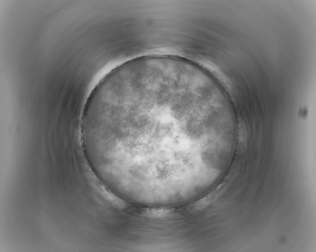 X0000089831278200707262016