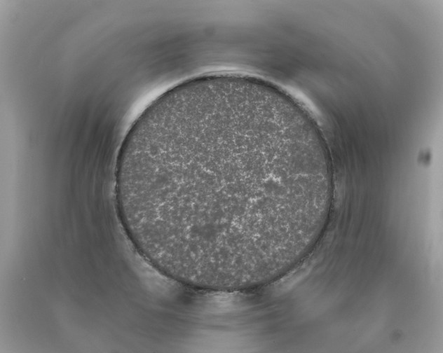 X0000089831279200707262016