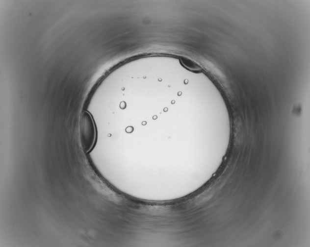 X0000089831280200707262016