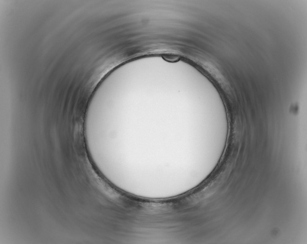X0000089831281200707262016
