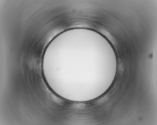 X0000089831282200707262016