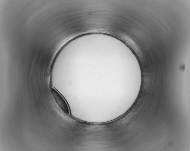 X0000089831284200707262016