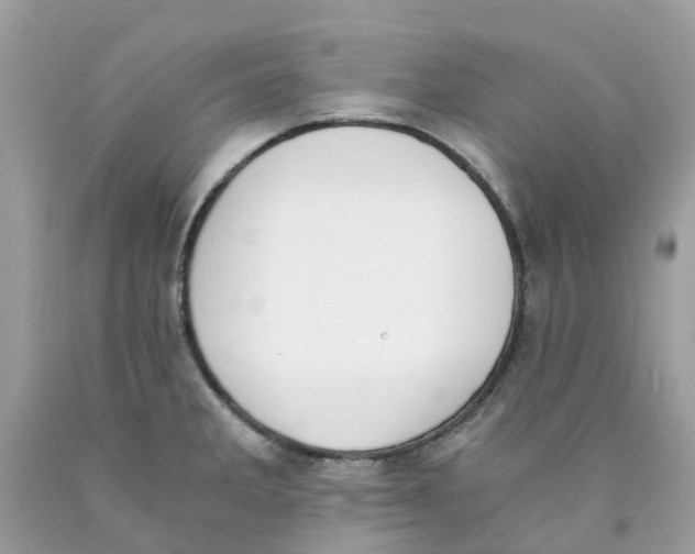 X0000089831285200707262016