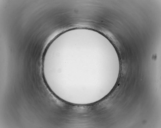 X0000089831286200707262016