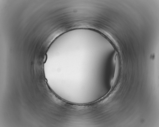 X0000089831289200707262016