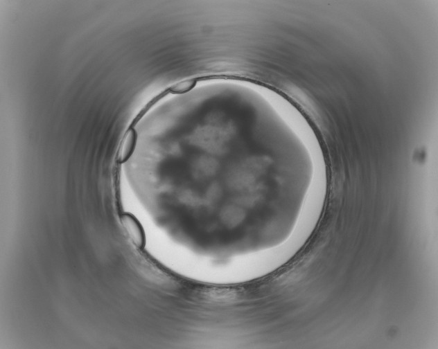 X0000089831291200707262016