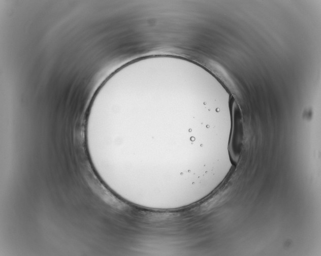 X0000089831292200707262016