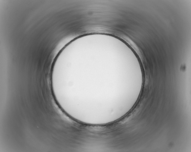 X0000089831293200707262016