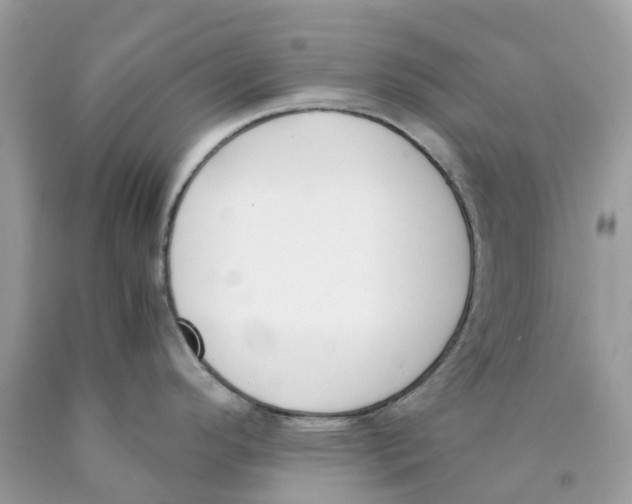 X0000089831296200707262016