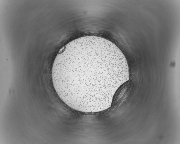 X0000089831297200707262015
