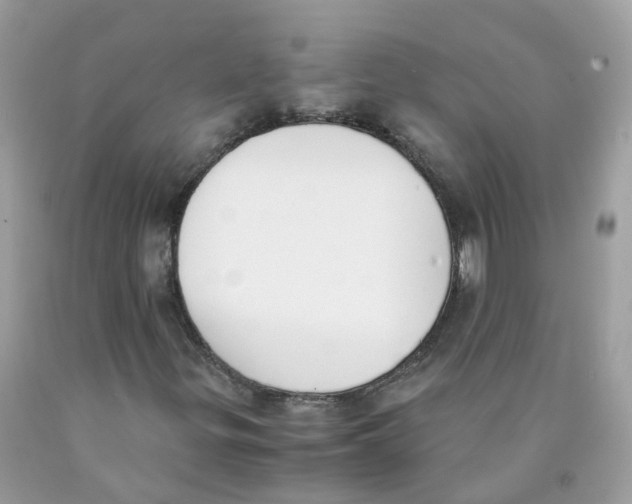 X0000089831299200707262015