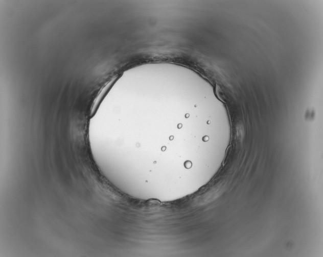 X0000089831300200707262015