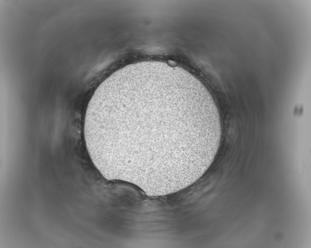 X0000089831301200707262015
