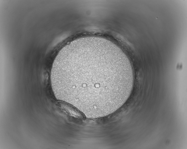 X0000089831302200707262015