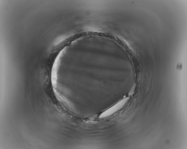 X0000089831303200707262015