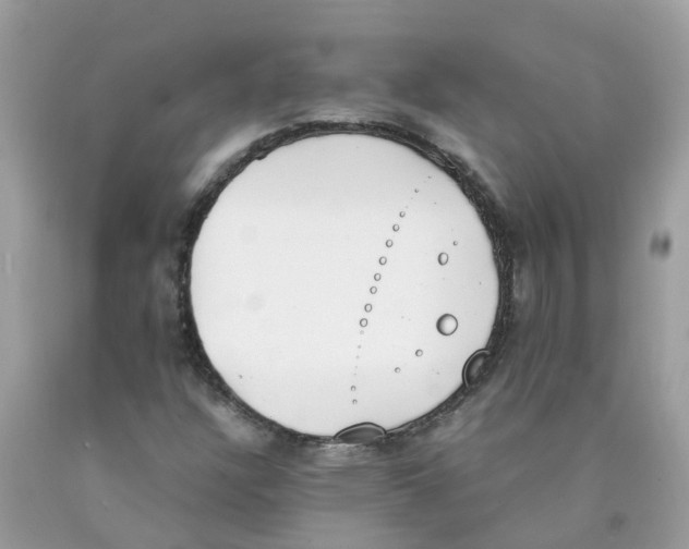 X0000089831304200707262015