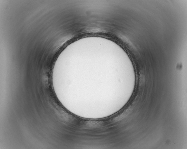 X0000089831305200707262015