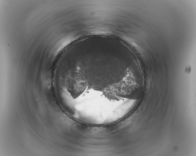 X0000089831306200707262015