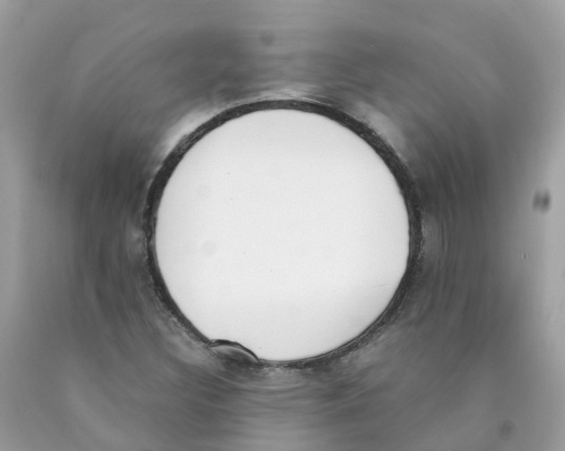 X0000089831308200707262015