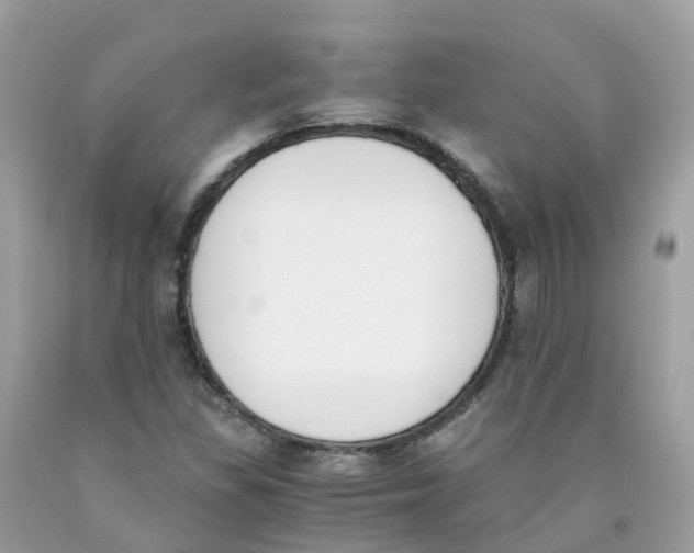 X0000089831309200707262015