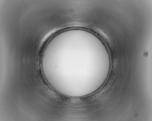 X0000089831310200707262015