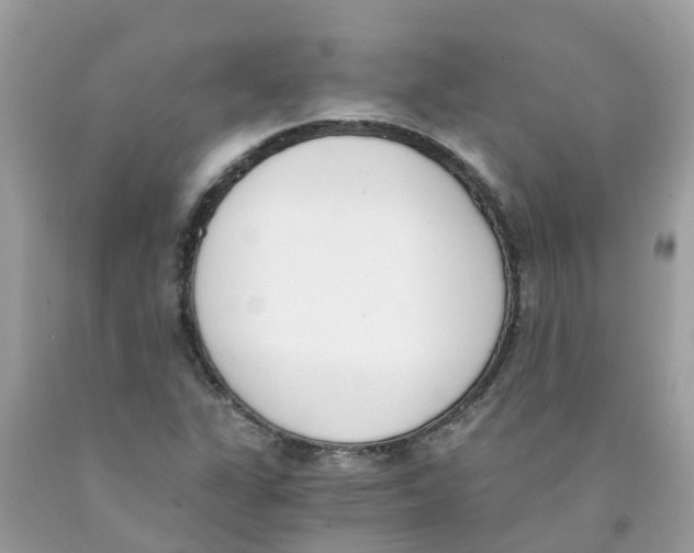 X0000089831311200707262015