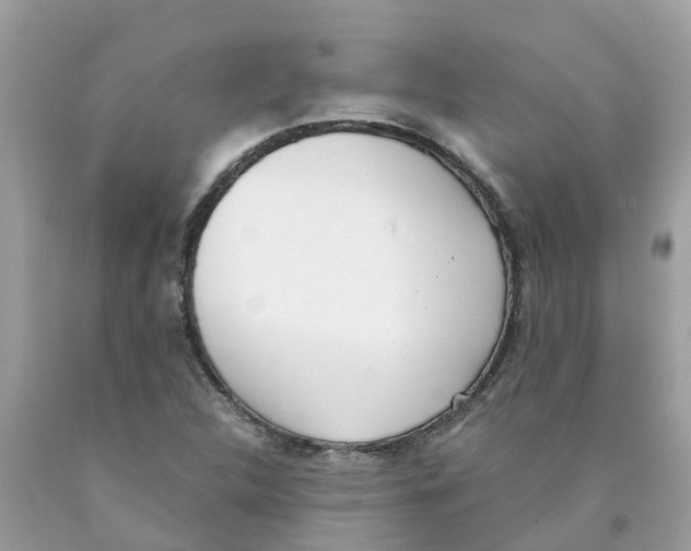 X0000089831312200707262015