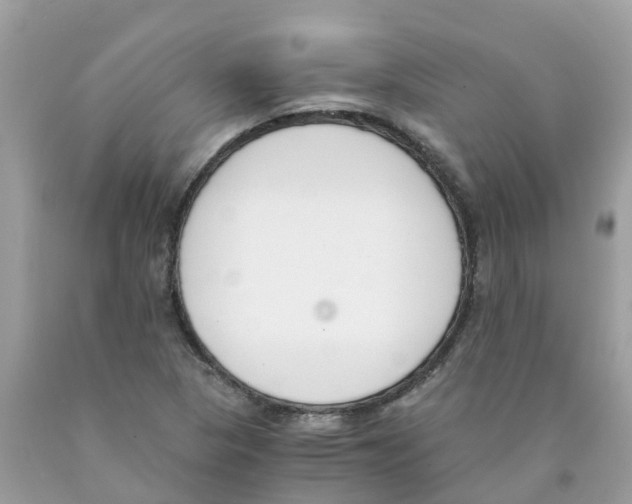 X0000089831313200707262015
