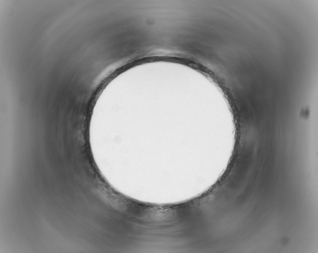 X0000089831314200707262015