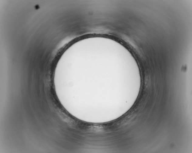 X0000089831315200707262015