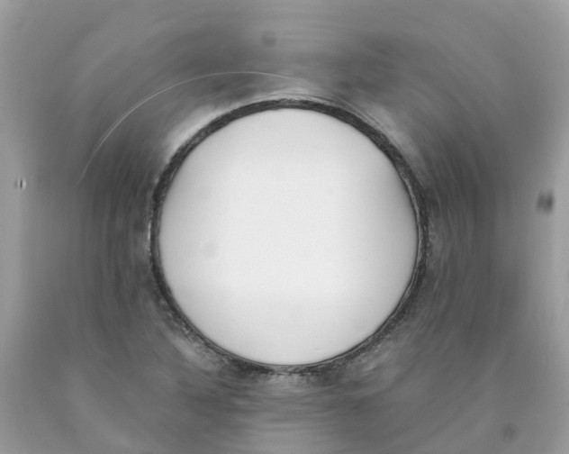 X0000089831316200707262015