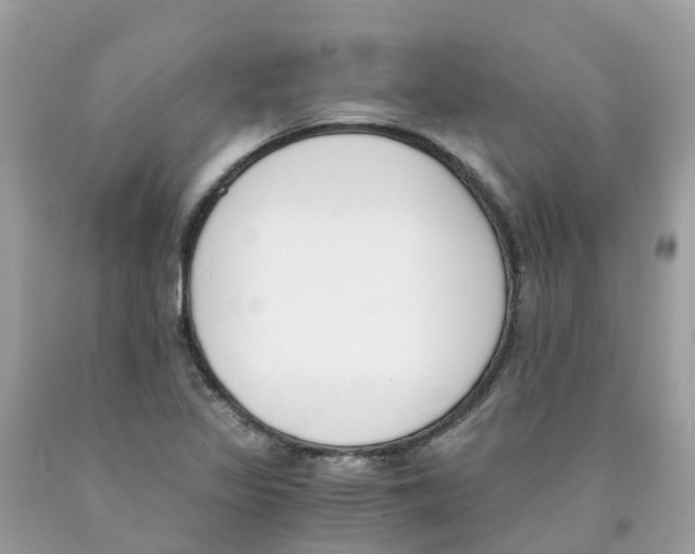 X0000089831317200707262015