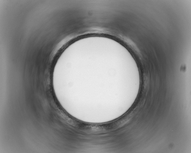 X0000089831318200707262016