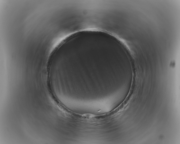 X0000089831319200707262016