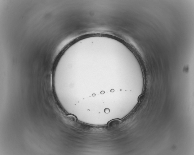 X0000089831320200707262016