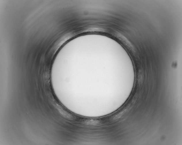 X0000089831321200707262016