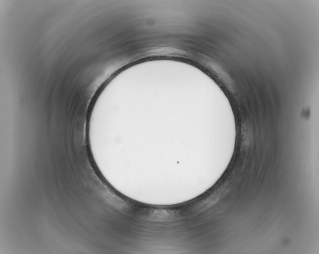 X0000089831322200707262016