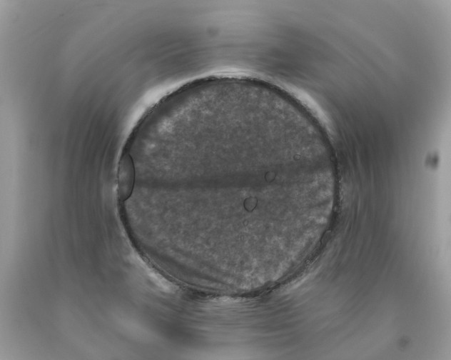 X0000089831327200707262016