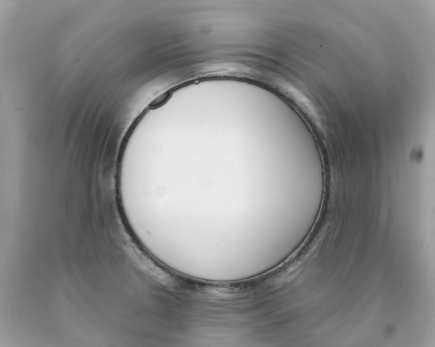 X0000089831330200707262016