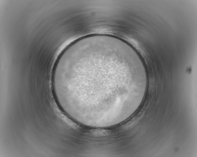 X0000089831331200707262016