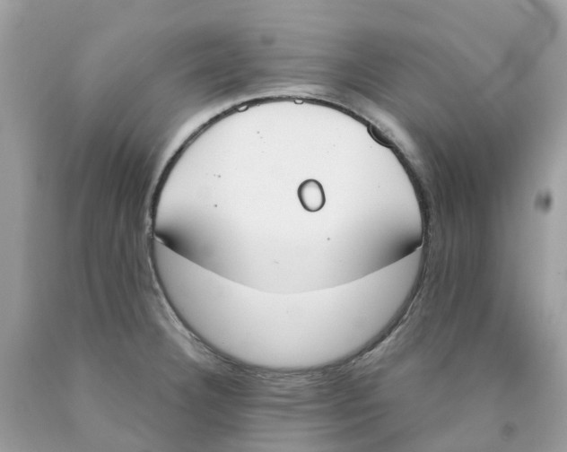 X0000089831332200707262016