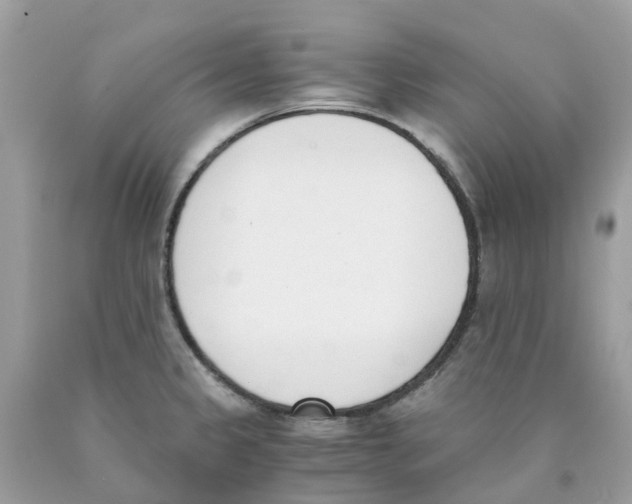 X0000089831333200707262016